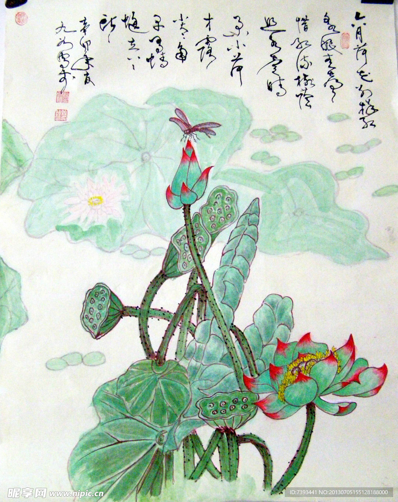 工笔画荷花（非高清）