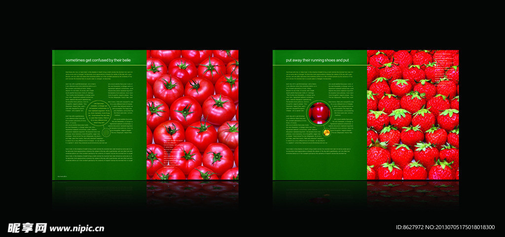 草莓营养画册