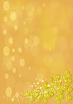 菊花图