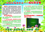 姬松茸海报