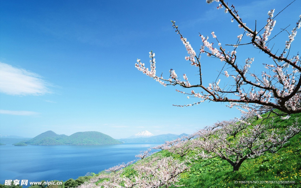 风景壁纸