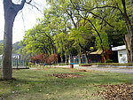 桂林七星公园风景