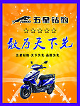 五星钻豹海报