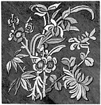 黑白花边植物纹样线条