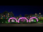 街道 夜景效果