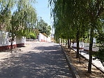 绿色家园