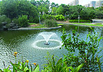 公园 风景