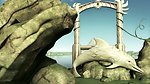 海豚爱情视频