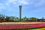 锦州园博园百花塔
