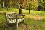 树林 公园 椅子