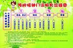 疫苗接种流程图