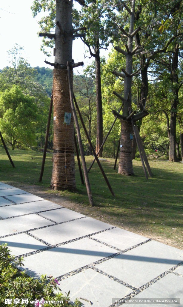 公园石板小路一角