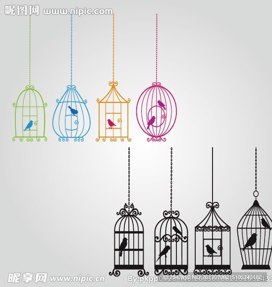 bird 鸟 笼子