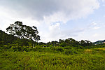 中山金钟水库岸边
