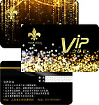 闪耀光点vip会员卡