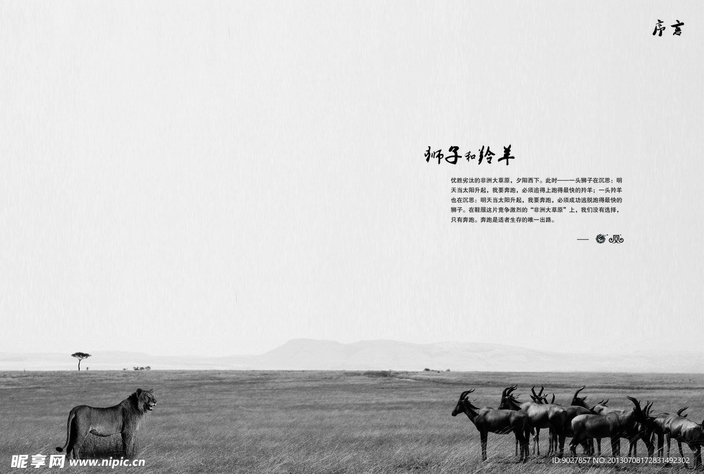 企业画册序言