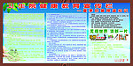 卫生院健康教育宣传栏