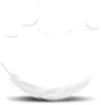 羽绒羽毛透明图