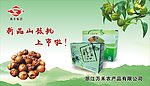 核桃海报