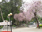 街景