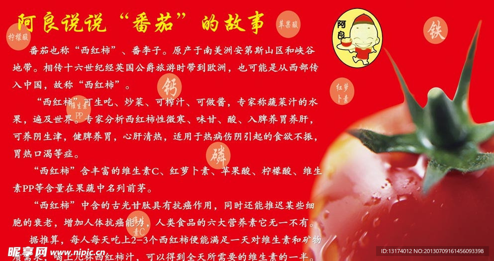 茄汁面 番茄介绍