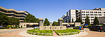 清华大学