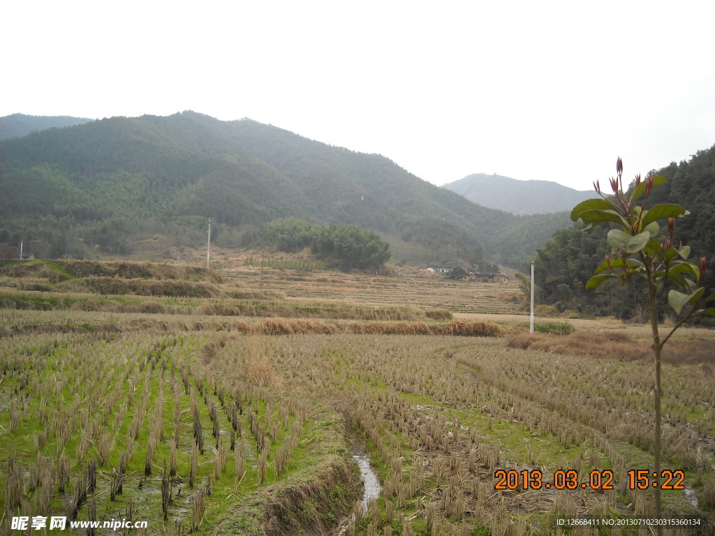 田园 景色 青山