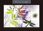 移门花纹