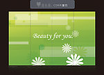 移门花纹