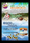 山密草广告