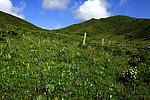 草原风光