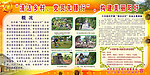 党风建设清洁乡村板报