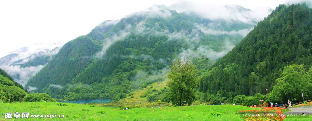 青山绿地