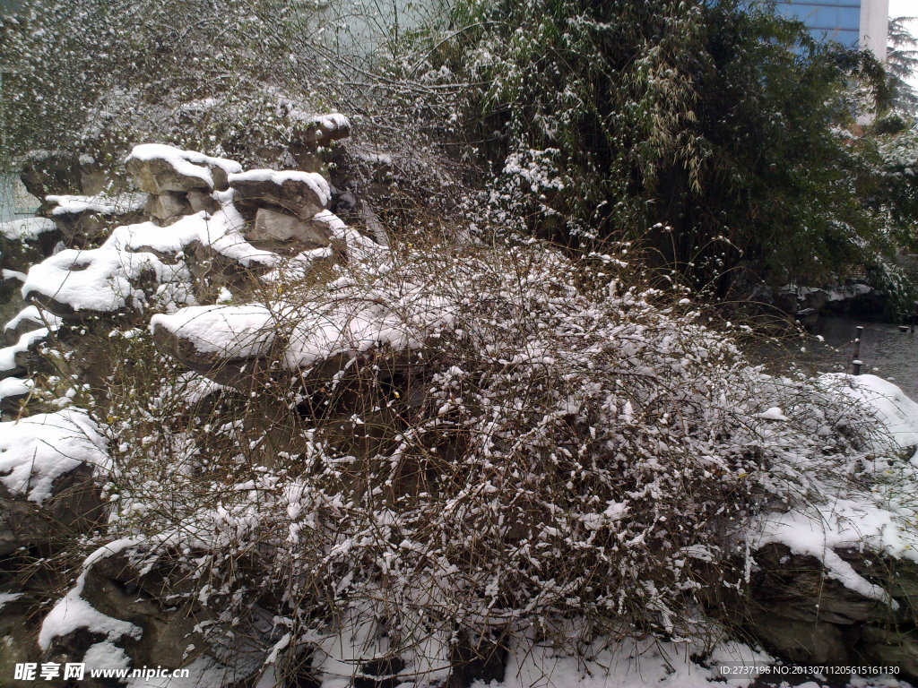 雪景