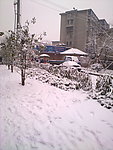 雪景