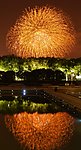 2012世纪公园烟花