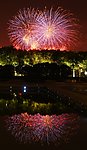 2012世纪公园烟花