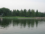 红领巾公园池塘