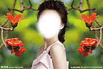 美女 人物图库