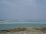 围头湾