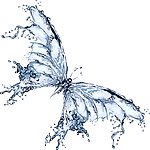 水做的蝴蝶