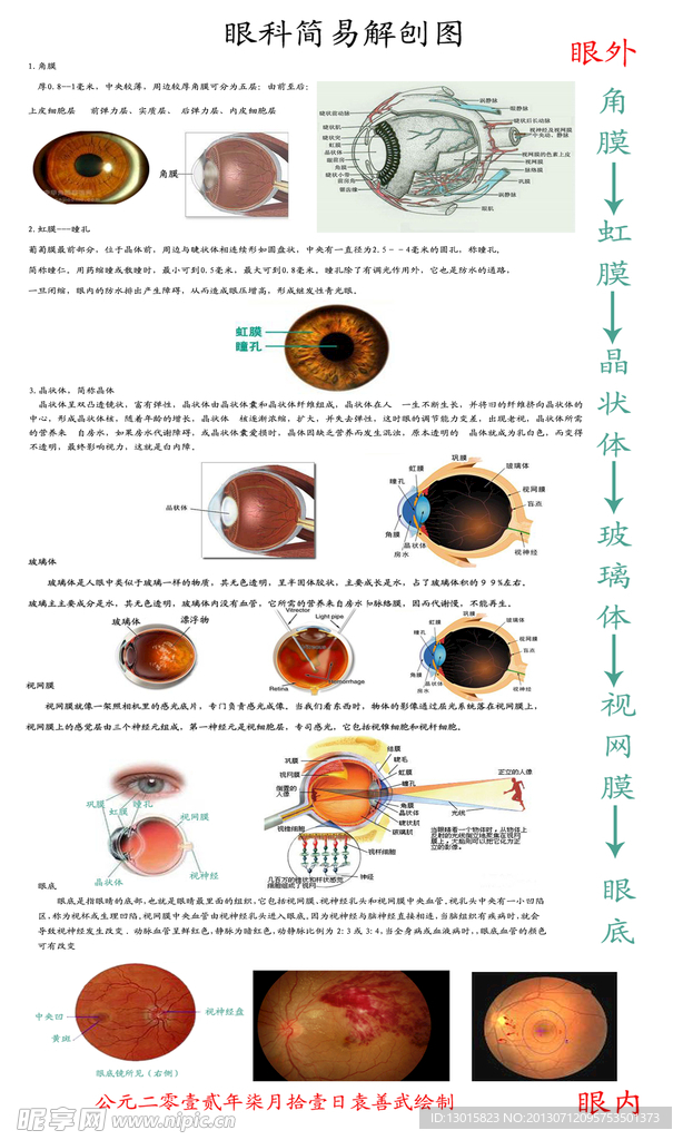 眼科简易解刨图