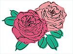 手绘矢量图两朵红玫瑰