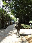 公园小道