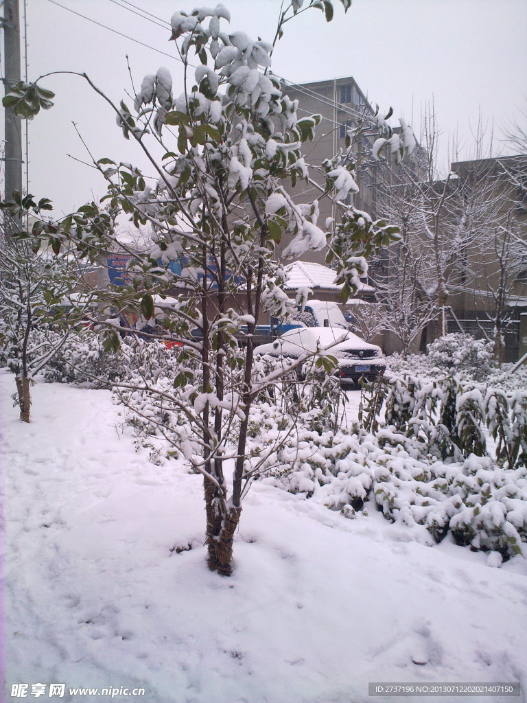 雪景