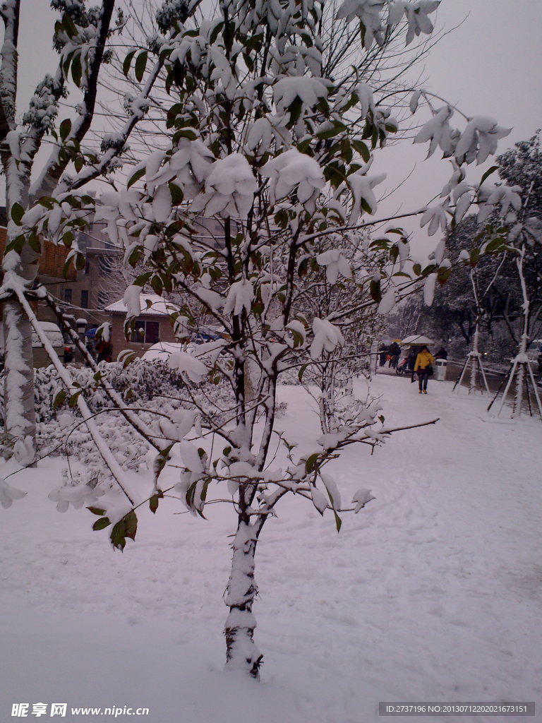 雪景