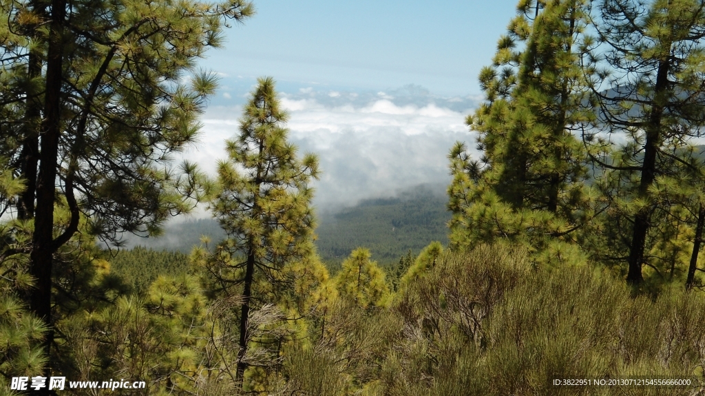 夏日自然风景