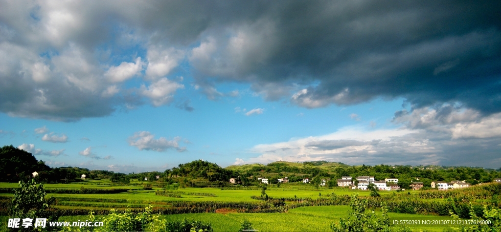 田园