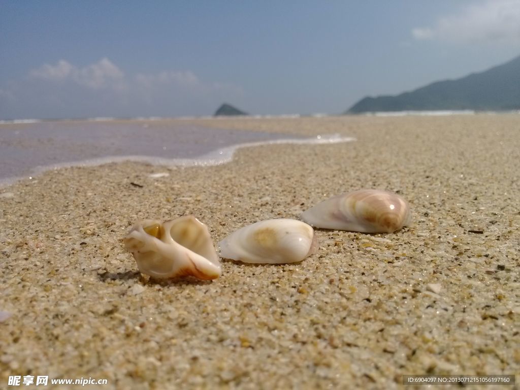 海边沙滩贝壳