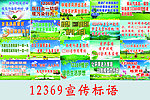 12369宣传板报